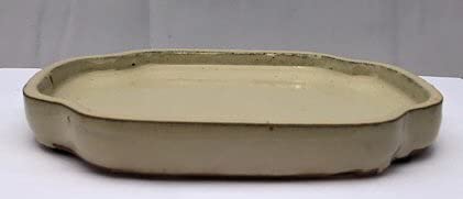 T1008 Ceramic Humidity & Drip Tray, Beige - Oval
