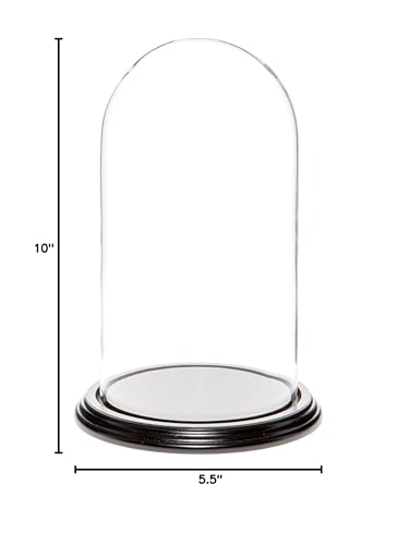 Plymor 5.5" x 10" Glass Display Dome Cloche (Black Wood Veneer Base) - color: Black Wood Veneer Base