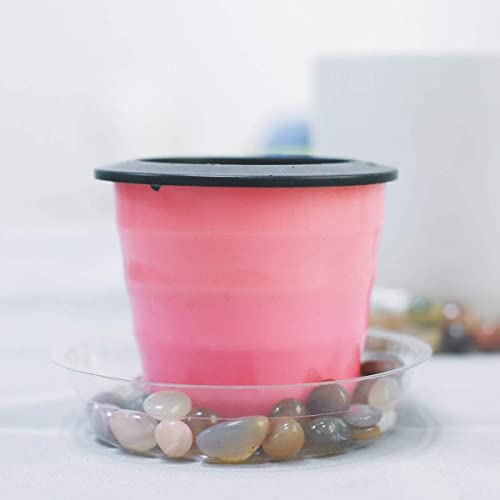 TRUEDAYS 20 Pack 8 Inch Plant Saucers Clear Plant Saucers Flower Pot Plastic Drip Trays Excellent for Indoor & Outdoor Plants - size: 20-Pack (8'' Only)