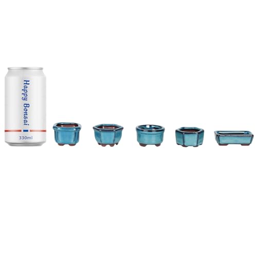 Bonsai Planter Succulent 1.8"(4.5cm) 10 Mini Glazed Pots - color: Blue