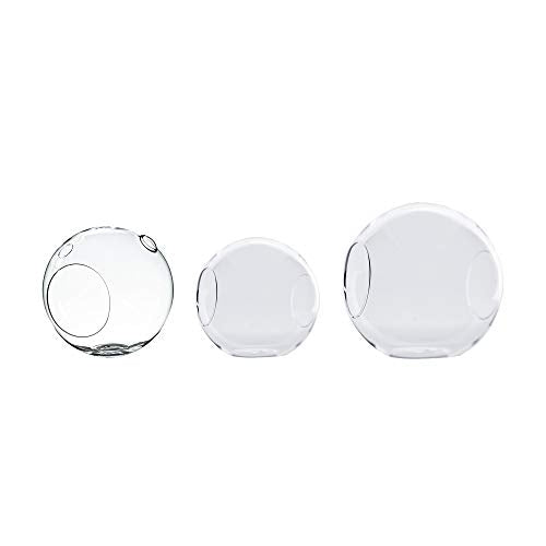 WGV Planter Terrarium, Width 6" Height 6.5", Clear Globe Glass Vase Container Orb with Two Side Opening, DIY Air Planter, Votive Candle Holder for Decor, 1 Piece - size: Double Opening Orb