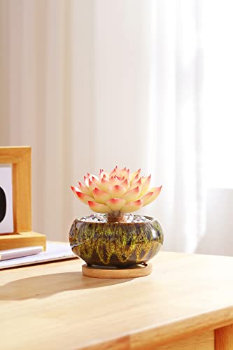 Cute Ceramic Succulent Garden Pots, Planter with Drainage and Attached Saucer, Set of 5 -Plants Not Included (Vivid Colors) - color: Vivid Colors