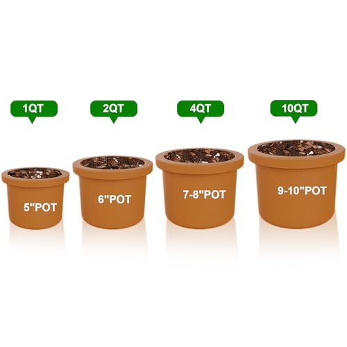 Doter Seed Starter Potting Soil Mix 2qt, Seed Starting Mix for Germination and Growth, Loamy Compost Well-Drainaged Soil Fit for Vegetable, Flower, houseplant - size: 2qt