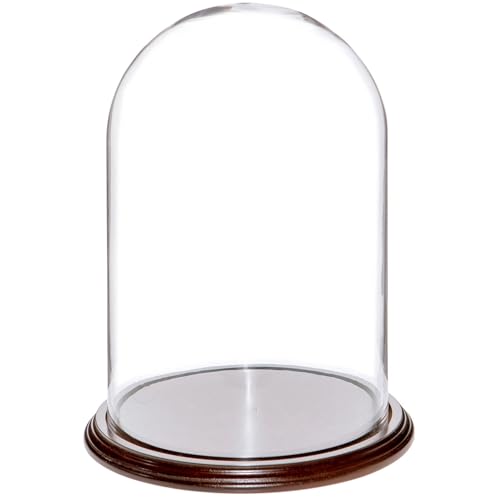 Plymor 8" x 12" Glass Display Dome Cloche (Dark Mahogany Veneer Base) - color: Dark Mahogany Veneer Base