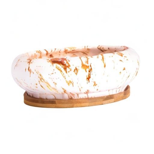 ARTKETTY Succulent Pots - 7.3 Inch Large Bonsai Pots with Drainage Tray - color: White&golden