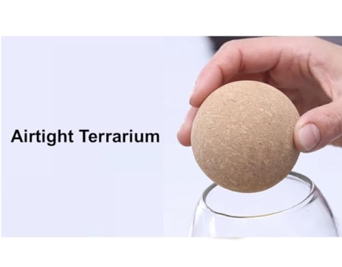 Glass Terrarium with Airtight Wood Lid (Ball Cork) | Closed Terrarium Planter | Clear Glass Bottle Jar Container | 800ml / 27oz | Moss Terrarium Jar | Indoor Ecosystem Decoration Gifts (Only Jar) - size: 800ml / 27oz