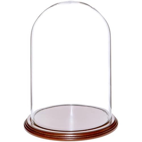 Plymor 8" x 12" Glass Display Dome Cloche (Walnut Veneer Base) - color: Walnut Veneer Base