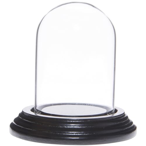 Plymor 2" x 3" Mini Glass Display Dome Cloche (Black Wood Veneer Base) - color: Black Wood Veneer Base