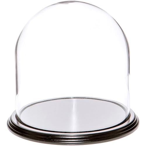 Plymor 8" x 8" Glass Display Dome Cloche (Black Wood Veneer Base) - color: Black Wood Veneer Base