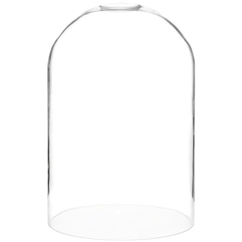 Plymor 8" x 12" Glass Display Dome Cloche (no Base) - color: No Base