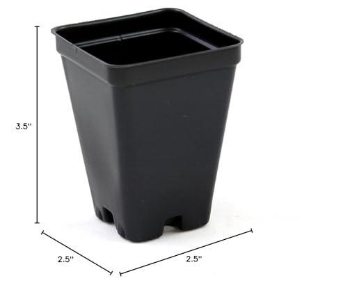 2.5 inch Square Greenhouse Pots - Black - Plastic - Deep - 25 Pack by Growers Solution