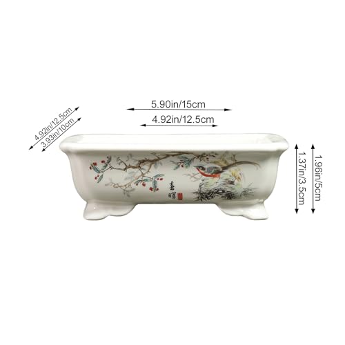 Bonsai Pots with Drainage Tray, 6" Rectangular Chinoiserie Decor - color: White-3
