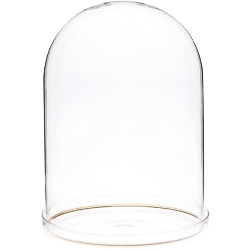 Plymor 5.5" x 8" Glass Display Dome Cloche with Gold Rim (Clear Glass Tray Base) - size: 5.5" x 8"