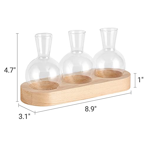 Mkono Plant Propagation Station, Desktop Glass 3 Bulb Vase Beige Wood Tray - color: Beige, size: Medium
