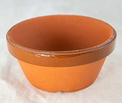 Japanese Tokoname Bonsai Training Pot, Cactus & Succulent Planter with Mesh - 4.25" to 7.25" (4.25"x 4.25"x 2") - size: 4.25"x 4.25"x 2"