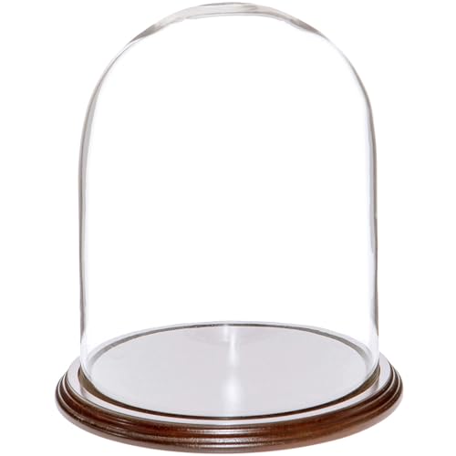 Plymor 8" x 10.25" Glass Display Dome Cloche (Dark Mahogany Veneer Base) - color: Dark Mahogany Veneer Base