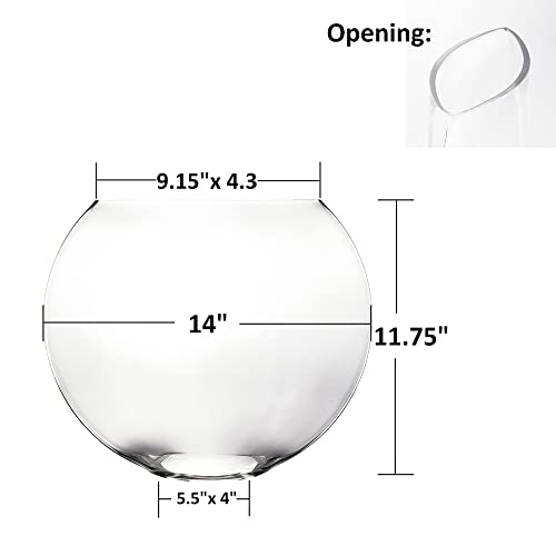 CYS EXCEL Glass Moon Vase Oval Bowl (H:11.75" L:14") | Multiple Size Choices Round Flower Vase Centerpiece | Plant Terrarium Bowl Vase - size: H-11.75" L-14"