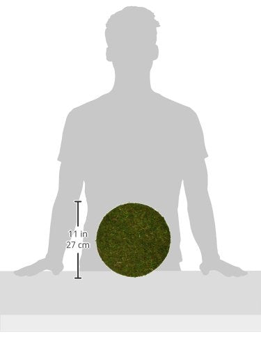 SuperMoss (26300) Moss Soil Toppers, Fresh Green, 6" (3 Units) - color: Fresh Green, size: 6" (3 units)