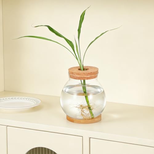 BESTOYARD Desktop Fish Tank Glass Fish Bowl with Bamboo Cushion Hydroponic Terrarium for Betta Plant Display Desk Shelf Table Office Party Decor