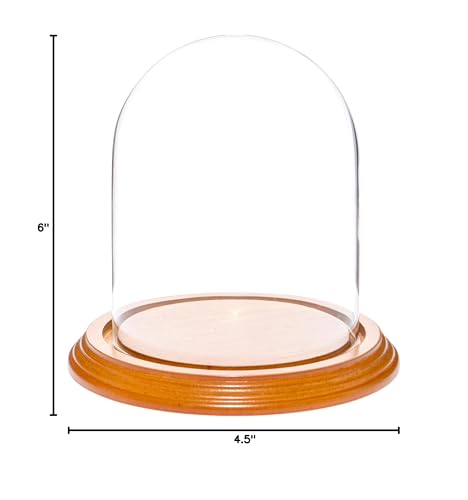 Plymor 4.5" x 6" Glass Display Dome Cloche (Oak Veneer Base) - color: Oak Veneer Base