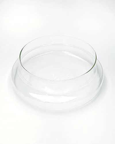 Handblown 10" Glass Terrarium with Opening for Air Flow & Cork Stopper Cloche Style Glass Dome Vivarium Display Case (Large) - size: Large