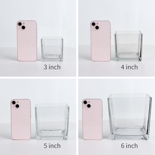 6 Pack Square Glass Vases 4" x 4" x 4", Clear Flower Vase - size: 4inch