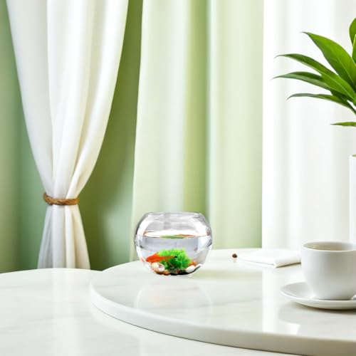 DOITOOL Round Glass Fish Bowl Vase Moss Ecological Terrarium Micro Landscape Container for Indoor Plant Display Home Office Centerpiece 5.90 X 5.90 X 4.72 in 2 Pack