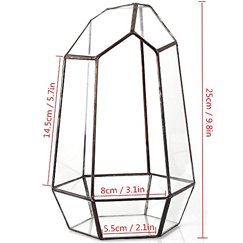 NCYP Glass Terrarium - Glass House Shape Terrarium with Lid, and Geometric Open Glass Terrarium Planter, for Small Succulent Cacti, Garden Tabletop Decor (No Plants)