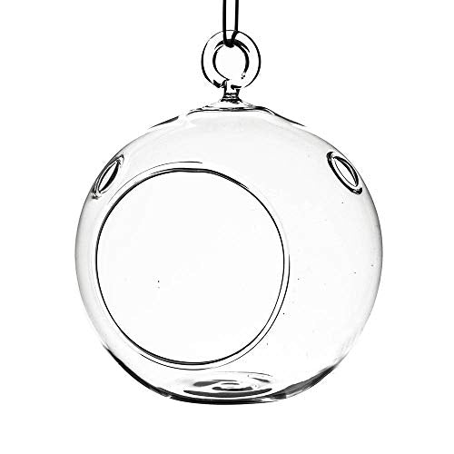 5 in. Clear Round Hanging Terrarium Globe Set of 2