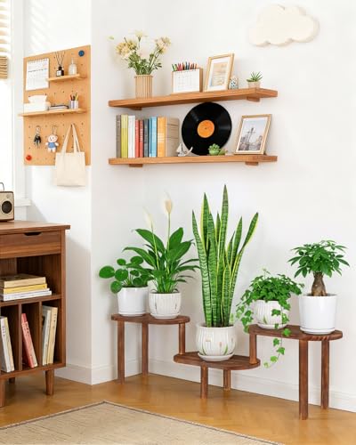 Concave Corner Plant Shelf Indoor, Adjustable Oval Plant Stand