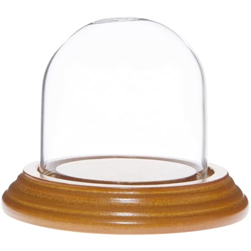Plymor 2.5" x 2.5" Small Glass Display Dome Cloche (Oak Veneer Base) - color: Oak Veneer Base