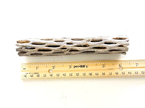 Natural Cholla Wood, Choya Air Plant, Untreated Beautiful Driftwood, Aquarium Decor, Betta Fish, Plecos, Shrimp, Minnows, Neon tetras, Cory Catfish, 6'' Long, 0.8 – 1'' Diameter, 5 – Pieces.