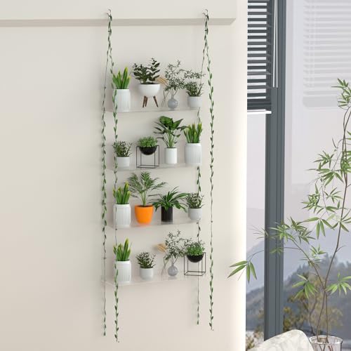 Jolitac Acrylic Window Plant Shelves, Hanging Indoor Wall Plant Stand, 4-Tier (Clear) - size: 4-Tier