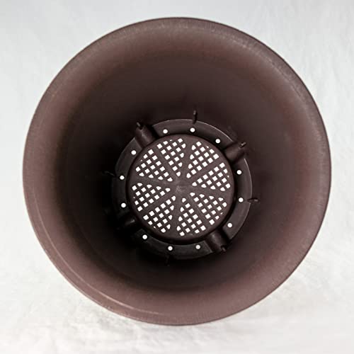 4 Mix Round Cascade Plastic Bonsai / Succulent Pot & Orchid Planter 4.25 inch , 5.25 inch , 6.5 inch , 7.75 inch - Tan Color