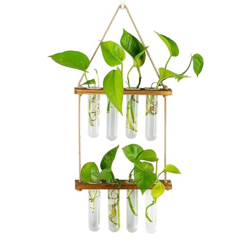 Planter Terrarium,Test Tube Vase Glass Planter Plant Propagation Station Plant Hangers of Rope with Stand for Hydroponic Plant Cutting(-2-Tier)