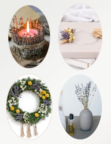 xin's convey DIY Natural Dried Flower Set, Bulk Dried Flowers for Vase, Dried Flowers with Stems, Dried Roses, Mini Dried Flower Bouquets.(Brown) - color: Brown