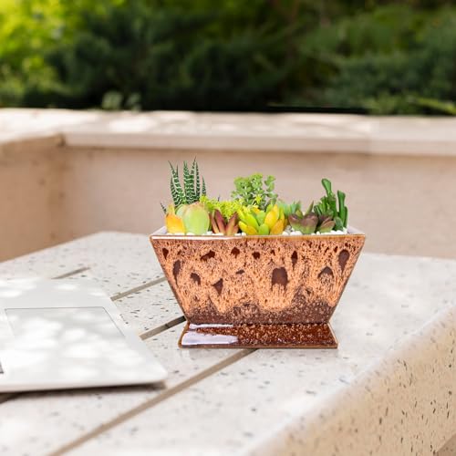 Succulent Pots - 7 Inch Large Plant Pot with Drainage, Ceramic Bonsai Pots - color: Orange