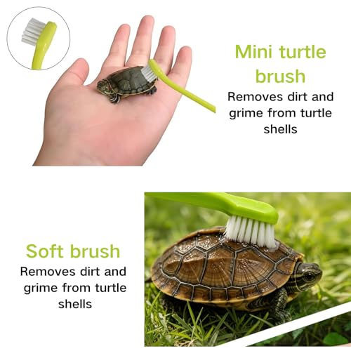 2Pcs Turtle Brush with Suction Cup, Turtle Shell Cleaning & Scrub Brush, Aquatic Turtle Tank Accessories