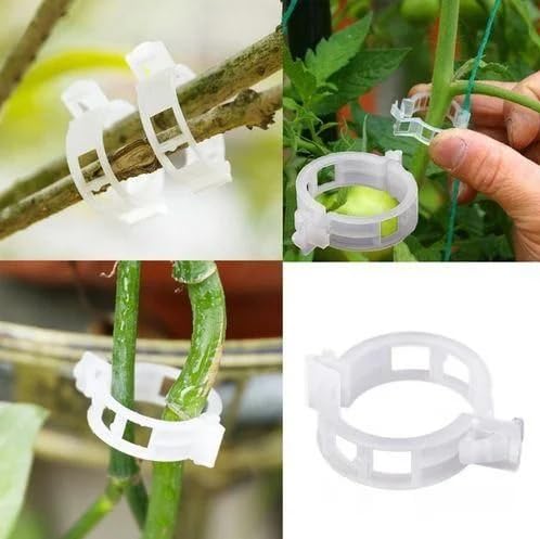 Pack Plant Support Clips, Reusable Plastic Vine Clips, Garden Tomato Clips for Climbing Plants, Vegetables, Flowers, Vines to Stems and Stakes (Black 50Pcs) - color: Black 50Pcs