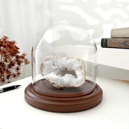 Plymor 5.5 inch x 5.5 inch Glass Display Dome Cloche (Dark Wood Base) - color: Dark Wood Base