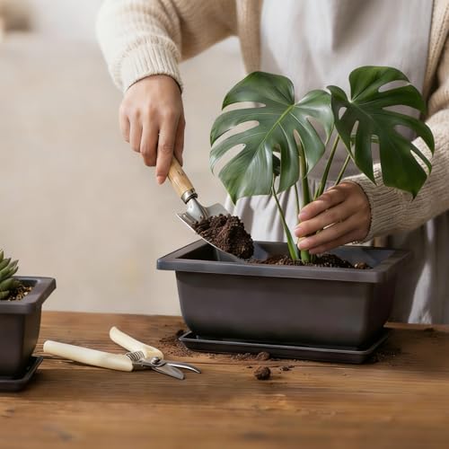 Plastic Bonsai Tree Pots (Rectangle, 5pcs-6.5") | Bonsai pots with Humidity Tray and Drainage, suitable for growing potted plants in both indoor and outdoor gardens - size: 5pcs-6.5", style: Rectangle
