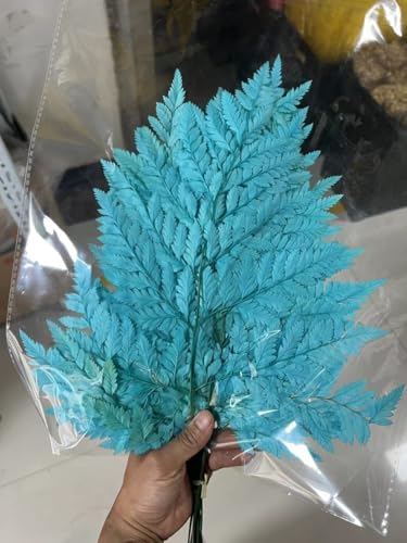 Blue Fern Leather Leaf - 10 Stems/Preserved Fern/Dried Fern/Natural Fern Leaf