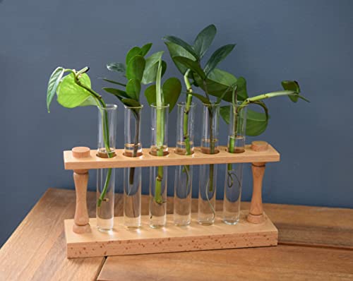 hBARSCI Premium Plant Propagation Station - Decorative Hardwood Stand with 6 Glass Tubes for Plant Cuttings, Hydroponic Plants, Flower Vase Home Decor