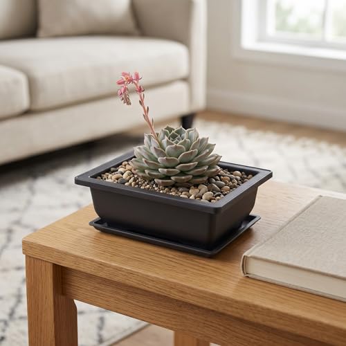 KINJOEK 15 PCS 6.5 Inch Plastic Bonsai Training Pots with Drainage Trays, Rectangular Plant Bonsai Tree Pot, Flower Succulent Growing Seedling Pot Container Planter for Garden Indoor Home Decorative - size: 6.5 Inch