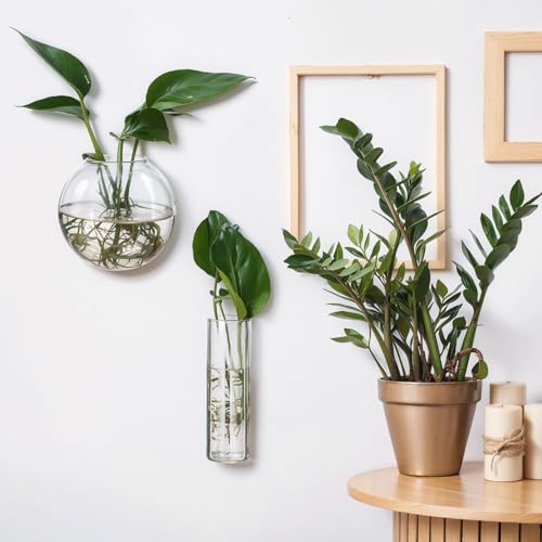 Baderke 6 Pcs Glass Wall Hanging Vase with Suction Cup Plastic Invisible