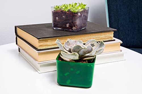 rePotme Cactus and Succulent Potting Soil Mix, Hand Blended in The USA - All Purpose Imperial Blend - Mini Bag (2 Quarts) - color: All Purpose Imperial, size: Mini Bag