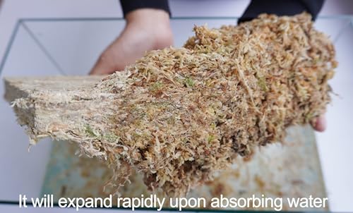 Sphagnum Moss 34QT for Plant Propagation, Great Orchid Potting Mix, Help with Maintain Humidity, 10oz - size: 10 oz