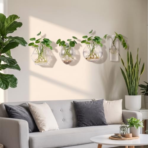 6 Pcs Wall Hanging Glass Terrariums Vase Indoor Planter Vase for Hydroponics Plants, Bathroom, Home Office Living Room Decor, 6 Different Shape(Plants Not Included)