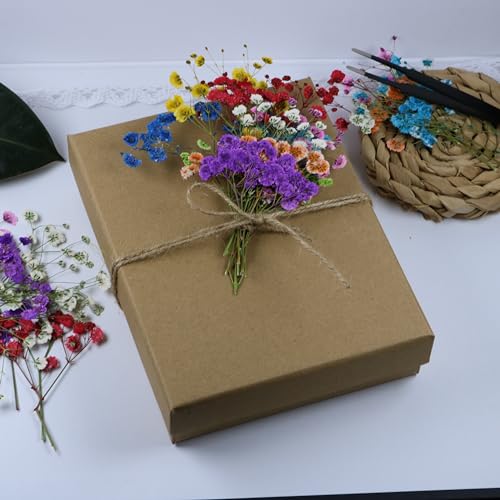 9 Mixed Color 90 Branches Babys Breath Flowers Set,Real Gypsophila Natural Dried Pressed Flowers,for Resin Candle Crafts Scrapbooking Bookmark DIY Nails Jewelry , Plant Herbarium +1 Tweezers - size: 90pcs