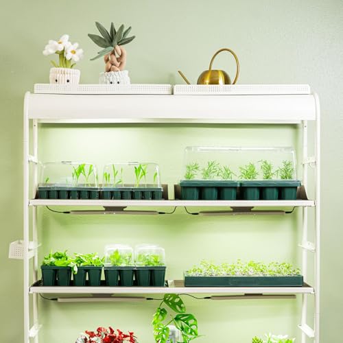 Vego garden Seedling Dome Cover 10" x 20" Food-Grade PET Plastic with Drip Irrigation & Vented Airflow for Seeds Growing Starting, Single Pack - size: 10" x 20", style: 1 Pack